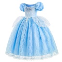 Cinderella Princess Dress Costume