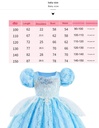 Cinderella Princess Dress Costume