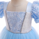 Cinderella Princess Dress Costume