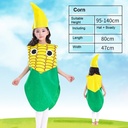 Fruits Costume