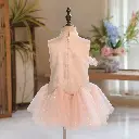 GIRL DRESS