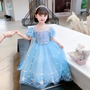 Elsa Dress Costume