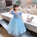 Elsa Dress Costume