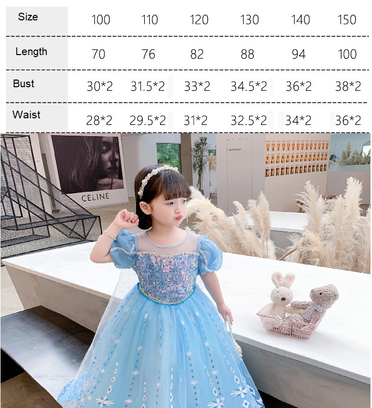 Elsa Dress Costume