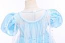 Elsa Dress Costume