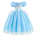 Cinderella Princess Dress Costume