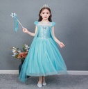 Elsa Dress Costume