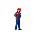 Super Mario Costume